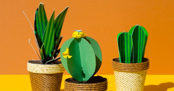 plantas de colección