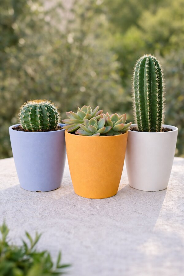 macetas y cubremacetas